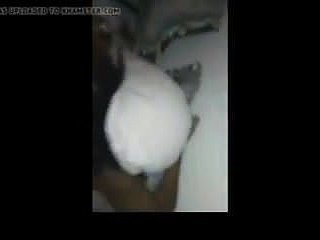 联合国Marocain百色UNE Africain普特卡萨布兰卡