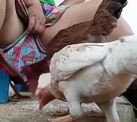 Harus menonton desi bhabi makan ayam