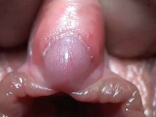 클리토리스는 매우 근접 촬영입니다