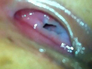 Controlla trinh bướm vk