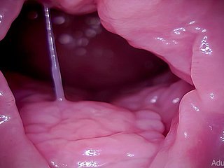 Cổ tử cung, Vore, Giantess, ASMR