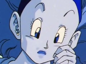 DBZ无尽的TFS
