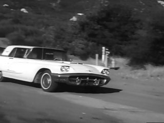 تشدد کا نشانہ بنایا خواتین (1965)