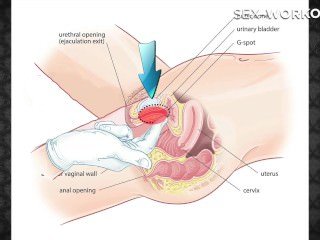 Làm thế nào để ăn bạn gái đi chơi