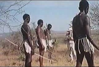 enormes penes africanos! verdadero safari!