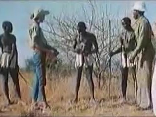 COCKS AFRICAINS MAXI