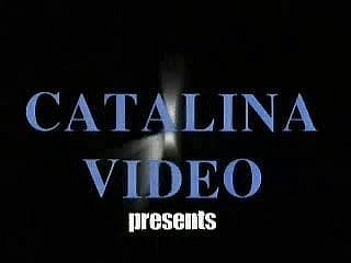 80年代的经典双性恋VID