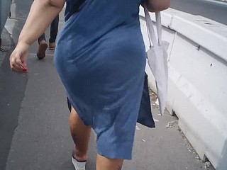 गली में खरा नीले अरबी गधा।