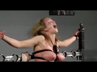 Bound gewgaw divertissement