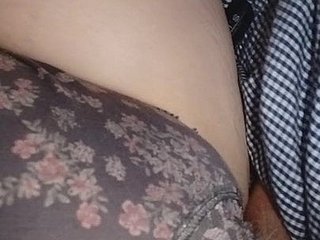 在毛茸茸的猫法律他妈的睡觉的母亲